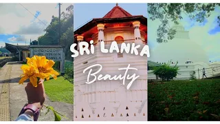 😱🌎🇱🇰"Enchanting Sri Lanka: A Journey Through Serenity and Splendor"