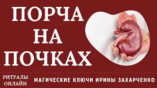 ПОРЧА НА ПОЧКАХ. РОДОВЫЕ ПРОКЛЯТИЯ, ПРОГРАММЫ СТЫДА, ПОЗОРА, НЕСПРАВЕДЛИВОСТИ, БЕССИЛИЯ, СТРАХОВ.