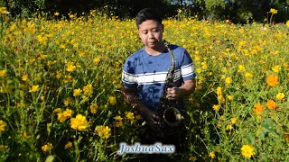 Put Your Head On My Shoulder by Paul Anka - Alto Saxophone by Joshua Ron Suarez