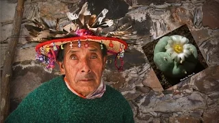 Peyote: Last of The Medicine Men - Huichol People of Mexico