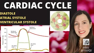 A-level- CARDIAC CYCLE. Diastole, atrial systole, ventricular systoles +the pressure +volume changes