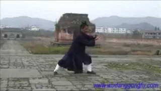 Wudang Taiji 108 - Part 2 - Master Yuan Xiu Gang (武当太极108式 - 第2段 - 袁修刚)