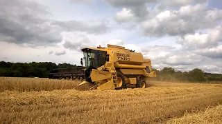 Mint New Holland TX63 harvesting the Spring Barley 2020