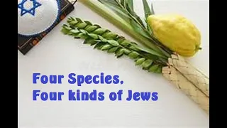 Four Species and Four Kinds of Jews (Lulav and Esrog)