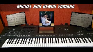 TOMBE LA NEIGE (COVER)