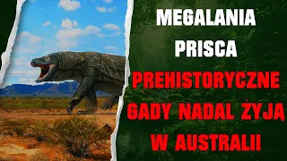 Podcast Kryptozoologiczny - Megalania Prisca - Czy Prehistoryczne Gady Nadal Żyją w Australii ?