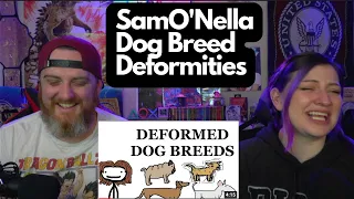 Dog Breed Deformities @SamONellaAcademy | HatGuy &@gnarlynikki React