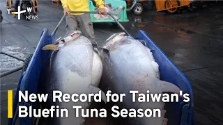 Southern Taiwan Fishing Port Brings in Record 438 Tuna in a Day | TaiwanPlus News