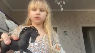 Алиса ПОКАЗЫВАЕТ своих ЛОШАДЕЙ ! Alice shows her horses collection !