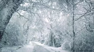 Blizzard sonne pour dormir, se relaxer et rester cool | La tempête de neige sonne et le vent fort