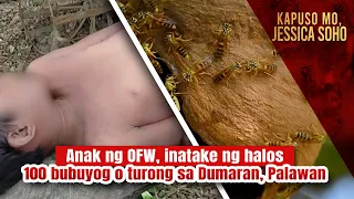 Anak ng OFW, inatake ng halos 100 bubuyog o turong sa Dumaran, Palawan | Kapuso Mo, Jessica Soho