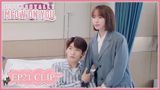 EP21 Clip | Ji Chen fainted suddenly and staged miracle | Accidentally Meow On You | 一不小心喵上你|ENG SUB