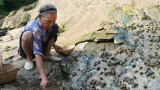 藏在石壁上的野味，有人嫌它個小無肉，有人吸它停不下來｜Grandma picks up wild snails to make Chinese food｜广西 美食 玉林阿婆