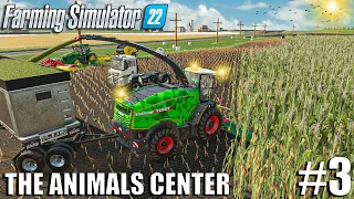 FIRST Silage Production and NEW Crops | Animals Center | Timelapse #3 | Farming Simulator 22