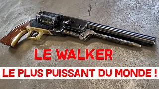 JE TESTE LE REVOLVER PN LE PLUS PUISSANT DU MONDE !!!