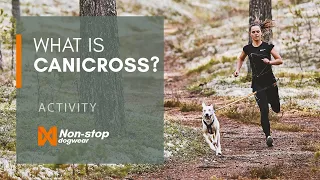 What is canicross? Guide to running with your dog.