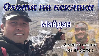 Охота на кеклика января 2023 г./Майдан/