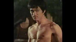 Bruce lee fist of fury