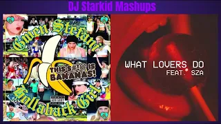 Gwen Stefani vs Maroon 5 & SZA - What Hollaback Lovers Do (Mashup)