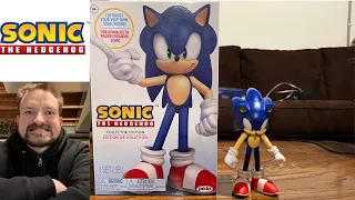 Jakks Pacific Modern Sonic Collector Figure Review!