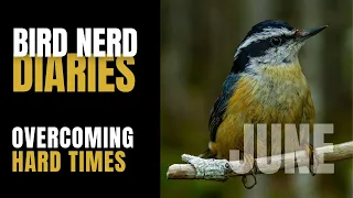 Overcoming Hard Times | Bird Nerd Diaries June 2020