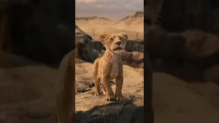 First Teaser Trailer for Mufasa: The Lion King!!!