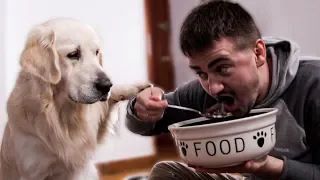 Am I Eating Dog Food? - My Dog Reacts to How I Eat His Food!