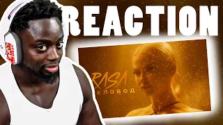 RASA - Пчеловод | REACTION