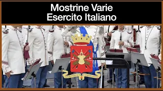 Mostrine Varie Esercito Italiano