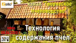 08.06.20 г. Z-рация, канал "Творческое пчеловодство" #Малыхин В.Е., Технология содержания пчел.