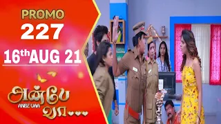 Anbe vaa promo 227/ 16 Aug 21 Today promo review