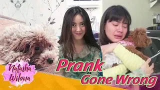 Prank Sahabat Sendiri Sampai Nangis! PRANK GONE WRONG!!!