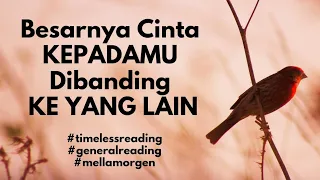 💕 kau tak terbandingkan 💕 #generalreading #timelessreading #mellamorgen