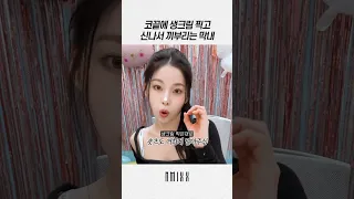 [엔믹스] 코끝에 생크림 찍고 끼부리는 장규진