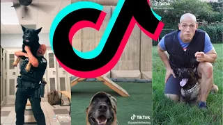 The Greatest K9 Police Dog TikTok Compilation | Dogs Of TikTok