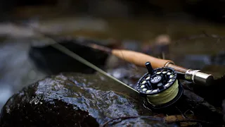 The BEST Small Creek Trout Fly Fishing Rod | 1wt - 2wt - 3wt