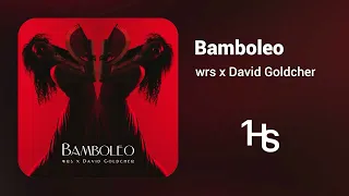 wrs x David Goldcher - Bamboleo | 1 Hour