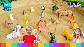 Learn Wild Animals for Kids, Farm & Sea animals in Kidiez Mud Ground