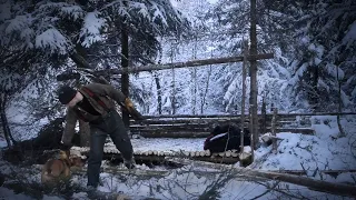 Building a Lean to Shelter alone in the Winter (with subtitles)
