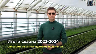 Итоги выгонки 2023-2024 | Ситуация на рынке луковиц тюльпанов