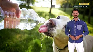 3-Tage-Wetter: Andauernde Hitze - aber Höhepunkt kommt erst noch