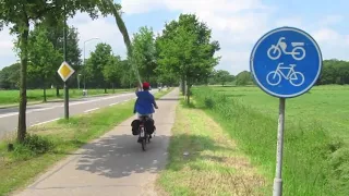 Fietsen met Bamboe Valkenswaard   Phyllostachys vivax Huanwenzhu en Phyllostachys vivax Aureocaulis