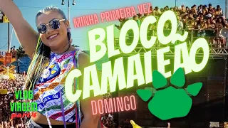 BLOCO CAMALEÃO DOMINGO - VLOG VIAGEM • part 4 • SONHO REALIZADO