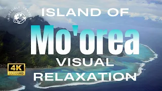 Better Than Bora Bora!? Discover the Island Of Moorea, French Polynesia | Scenic Nature Relaxation