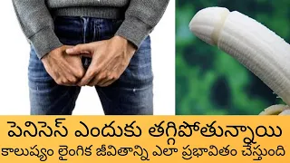 Why Penises Are Shrinking in Telugu | How Pollution is Affecting sex life in Telugu | Kiran Varma