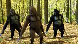 Ego - The Crazy Things We Do Official Music Video (Dancing Gorillas)