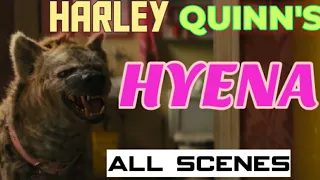 #2 HYENA OF HARLEY QUINN ALL BEST SCENES |BIRDS OF PREY|#MARVELOUSUNIVERSE HARLEY QUINN FIGHT SCENES