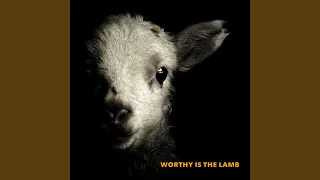 Worthy Is the Lamb (Flow) (Live)