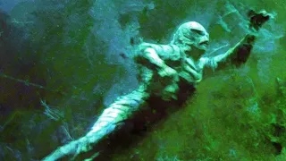 A Look at my Creature from the black lagoon display.
