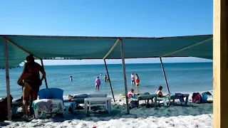 Дельфины. Остров Джарылгач. Чёрное море 2017